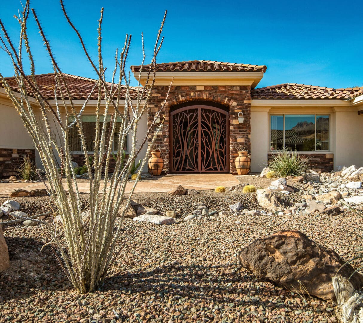 A house with a large front yard and a cactus.